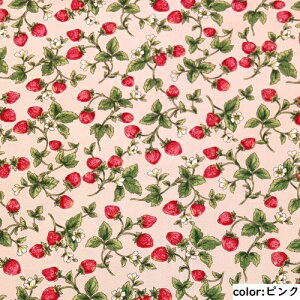 y50cmPʁzRbg  n { z 100% vg sN  u[ F zCg  ubN  lCr[ {y2m܂Ń[֑Ήz