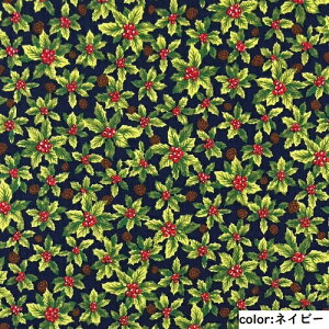 y50cmPʁzy3m܂Ń[֑Ήz Rbg A NX}X { z 100% vg n  bh  O[  lCr[ nhCh