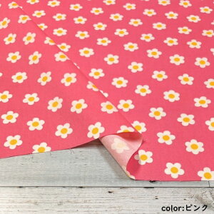 y50cmPʁzRbg ԕ IbNX rrbhJ[ n { z  u[ sN IW  p[v  O[ nhCh y2m܂Ń[֑Ήz