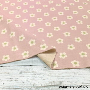 y50cmPʁzRbg 100% WK[hjbg ԕ n { z sN  u[ DF O[ y1m܂Ń[֑Ήz