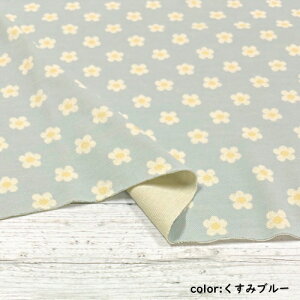 y50cmPʁzRbg 100% WK[hjbg ԕ n { z sN  u[ DF O[ y1m܂Ń[֑Ήz