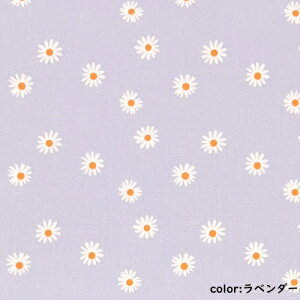 y50cmPʁzy2m܂Ń[֑ΉzRbg ԕ IbNX  jAXJ[  p[v  lCr[  u[ zCg F Ȃ  ubN sN DF O[ n { 