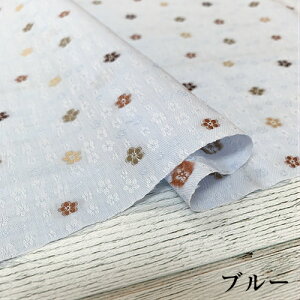 y50cmPʁzy2m܂Ń[֑Ήz@Rbg@ԕ@킢@ԁ@@F@WK[h@ Ch L u[ zCg n z 100%   Vcn