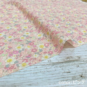 y50cmPʁzy3m܂Ń[֑Ήz Rbg ԕ { z 100% vg n  F sN   oeB