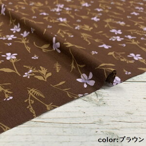 y50cmPʁzy3m܂Ń[֑Ήz Rbg [ ԕ { z vg n  F  [  {^jJ