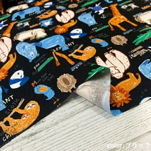 y50cmPʁzy2m܂Ń[֑ΉzRbg Aj}     sN  菑 n { z 100% vg IbNX nhCh