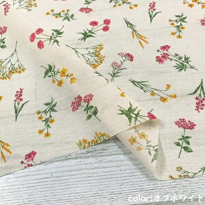 y50cmPʁzy2m܂Ń[֑Ήz ԕ Ȗ V[`O { z   Rbg l n    O[ Ȃ  vg nhCh