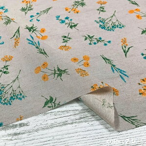 y50cmPʁzy2m܂Ń[֑Ήz ԕ Ȗ V[`O { z   Rbg l n    O[ Ȃ  vg nhCh