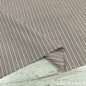 y50cmPʁzy2m܂Ń[֑Ήz@Rbg@TbJ[@`FbN@XgCv  ubN dBD@n {@z 100%@ bv nhCh