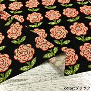 y50cmPʁzy2m܂Ń[֑ΉzRbg l ԕ  O[ Ȃ  ubN k n { z Ȗ vg LoX ̕z