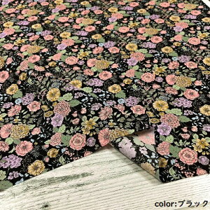 y50cmPʁzy2m܂Ń[֑ΉzRbg ԕ {^jJ  zCg F CG[  u[  ubN k n { z 100% vg V[`O