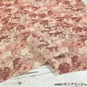 y50cmPʁzy2m܂Ń[֑Ήz Rbg l hr[ Ch L n XgCv sN  u[ z Ȗ vg nCrXJX An 啿  {