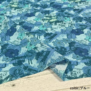 y50cmPʁzy2m܂Ń[֑Ήz Rbg l hr[ Ch L n XgCv sN  u[ z Ȗ vg nCrXJX An 啿  {