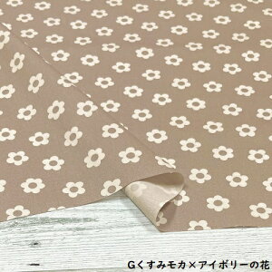 y50cmPʁzy2m܂Ń[֑ΉzRbg ԕ IbNX  jAXJ[  u[ zCg FF CG[  ubN sN F uE DF O[ n { z 