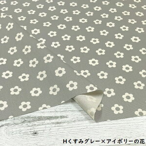 y50cmPʁzy2m܂Ń[֑ΉzRbg ԕ IbNX  jAXJ[  u[ zCg FF CG[  ubN sN F uE DF O[ n { z 