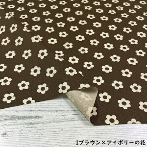 y50cmPʁzy2m܂Ń[֑ΉzRbg ԕ IbNX  jAXJ[  u[ zCg FF CG[  ubN sN F uE DF O[ n { z 