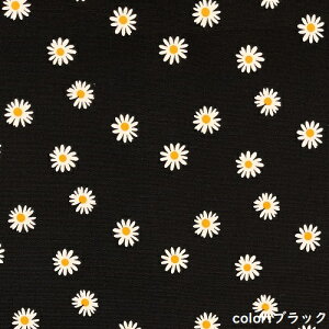 y50cmPʁzy2m܂Ń[֑ΉzRbg ԕ IbNX  jAXJ[  p[v  lCr[  u[ zCg F Ȃ  ubN sN DF O[ n { 