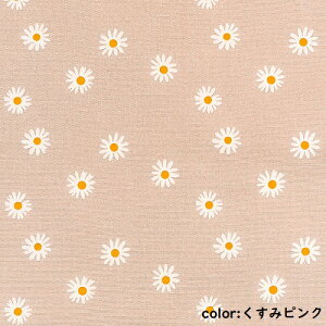 y50cmPʁzy2m܂Ń[֑ΉzRbg ԕ IbNX  jAXJ[  p[v  lCr[  u[ zCg F Ȃ  ubN sN DF O[ n { 