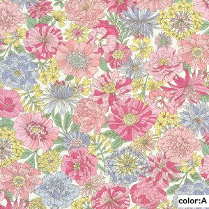 y50cmPʁzRbg ԕ {^jJ sN  u[  lCr[ k n { z 100% vgu[hy2.5m܂Ń[֑Ήz