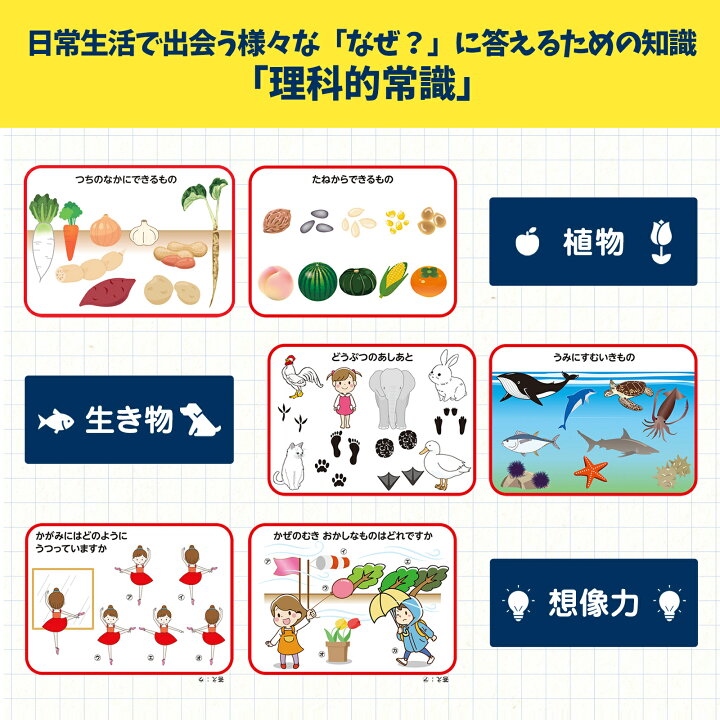 楽天市場】【お受験教材】りかのじょうしきポスター 理科的常識 理科の 