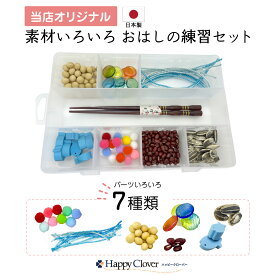 【期間中店内全品ポイント5倍！ 3/4 20:00〜3/11 1:59】《当店オリジナル》 素材いろいろおはしの練習セット 知育玩具 知育教材 学習教材