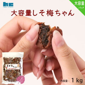  ~ ~ nbs[Jpj[ lbg e ʂ ߂ڂ o