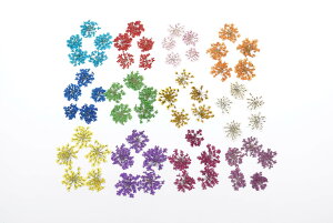  hCt[ 12F v60Zbg eF5 P[XȂ [Xt[  ԍ WA[glC p[c f |