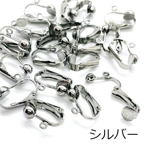 [AM[Ή] jbPt[ NbvCOp[c 20Zbgi10yAj Vo[ S[h   Jt Nbv^Cv CO NbvCO ANZT[p