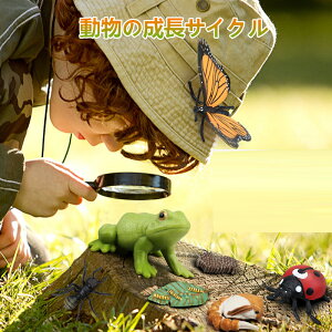 yzmߋ w  ̃CtTCN  A̐TCNtBMA ⏕ Ȋw [vC Xg[[eO av[g eb\[ 