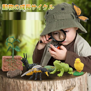 yz ̃CtTCN  A̐TCNtBMA mߋ ⏕ Ȋw [vC Xg[[eO av[g NX}X  \ 