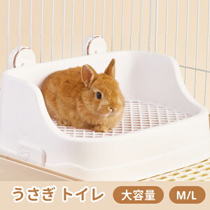 yz gC p gC pgC lp K rbgtBbgp pgC^[pi gC |  S pi ETM |₷