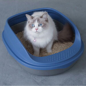 yzLgC ^ ^ lR  L gC lp ɂ΍ L e Vv J юUh~ Lp lRpi XRbvt  Lpi A⍻ юUh܂ | 