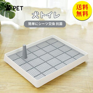 yzgCg[ ʃM[  bV  gC g[ bV̂t t`ꂵɂ g[jOybgg[ Gh~ lC M 38*30*6.5cm ETMpi
