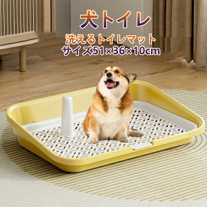 yzgCg[ M[  bV  gC g[ bV̂t t`ꂵɂ g[jOybgg[ Ђh~ Ch ^ ^ ^ 51×