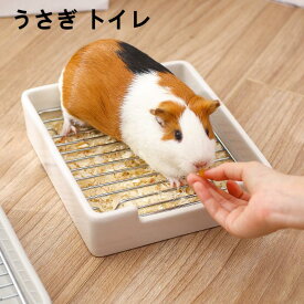 【送料無料】うさぎ トイレ 陶器 うさぎ用トイレ 四角 ラビットフィットパン うさぎ用トイレタリー用品 トイレ レー トハムスター チンチラ デグー モルモット兼用 うさぎ うさぎ全般 うさぎ用品 ウサギ 幅20×22×高さ5.4cm ホワイト