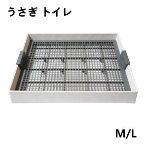 yz gC 傫 XmR P[Wɓ M/L lp` bVXmRt `` ETMS tbggC [ gnX^[ `` fO[ bg g[ g