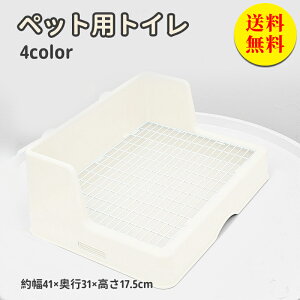 yz gC 傫 lp p gC pgC lp rbgtBbgp pgC^[pi gC |  S pi ETM 41×