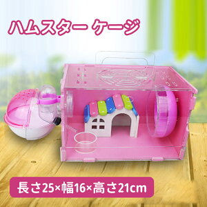 yznX^[ nEX nX^[ P[X N[ P[W  P[W ʋC ֗  񂵎 H  珬 ^ nX^[ |炭炭 