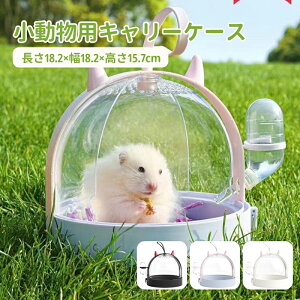 yzybg L[  P[X X[ L[ ł o ړ obO |[` nX^[ V}X  bg  P[W nEX  ʉ@ a