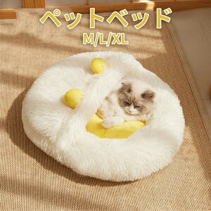 yzybgxbh ӂӂ NbV ~ߕt? xbh  L 킢 tt  ^  L ˂ ʔN lGp Lbgxbh ۉh 薰 Lp 