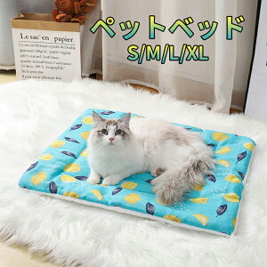 yzybg}bg NbV xbh  L 킢 L p Q Kŏ_炩  g ۉh 薰 Lp 􂦂 ybgpi