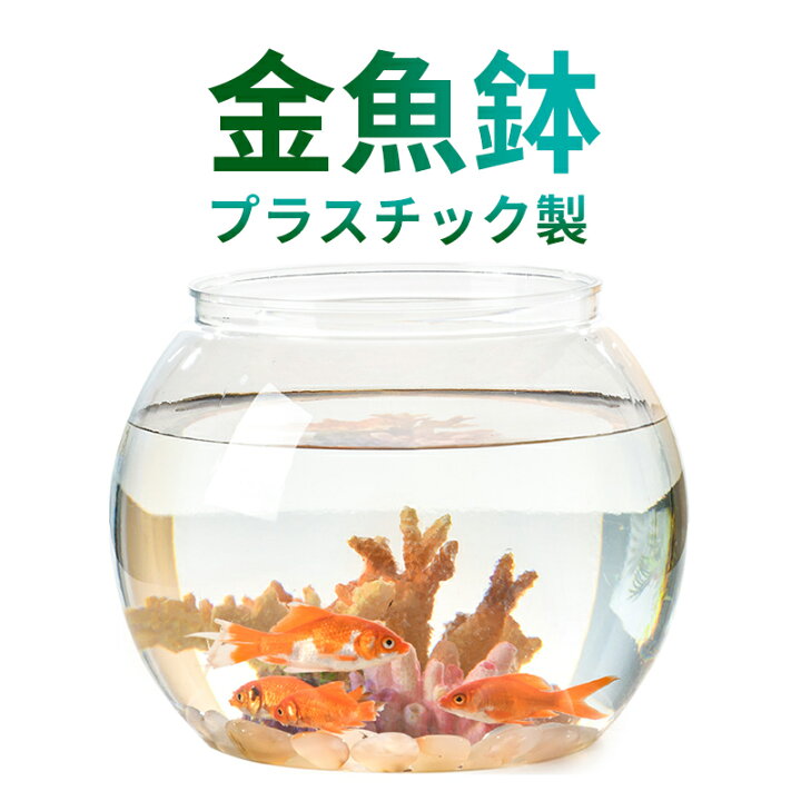 楽天市場】【送料無料】金魚鉢 水槽 丸型水槽 ガラス容器  