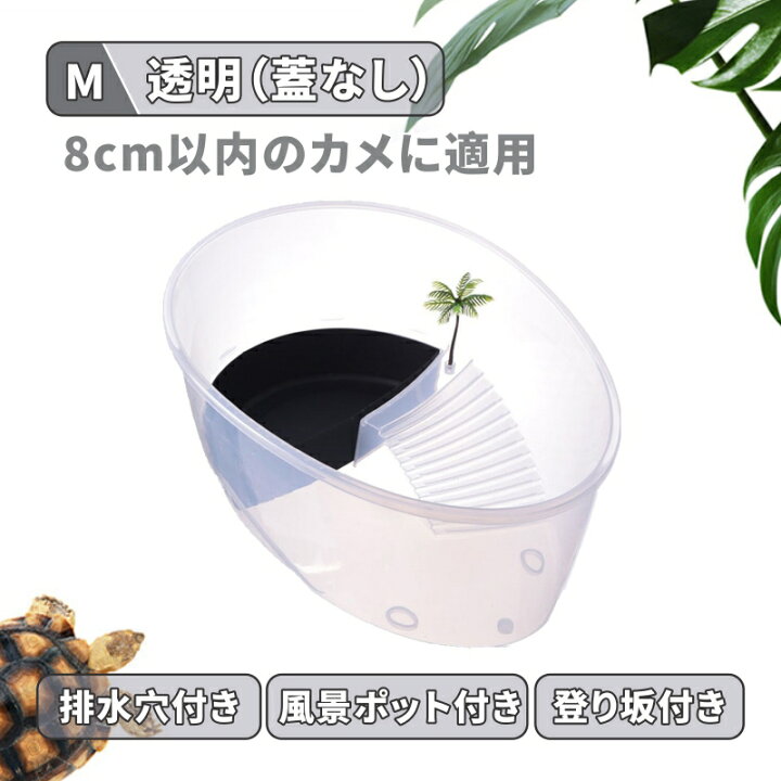 楽天市場】【送料無料】亀の水槽 カメ用水槽 脱出防止 大きい カメの 