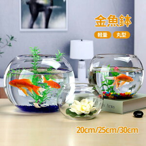 yz ی^  KX  e[u ANAE {E ϗtA e  CeA e ԕr ACe 琅 20cm 25cm 30cm