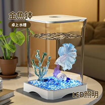 楽天市場】かわいい 置き時計（水槽・アクアリウム｜熱帯魚 