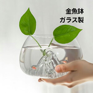 yz  KXe XR̃fUC      Mы _J  ঒ Jj 炵 T   ANZT[ ItBX@\ ACe ϗt