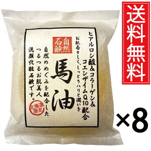 nΌ 100g × 8Zbg qA_ & R[Q & RGUCQ10 z RΌ st^ n ΂ Ԃ o[ \[v  XLPA    q kC