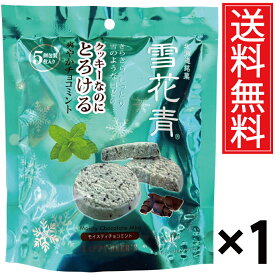 北海道銘菓 雪花青（せっかせい）モイスティチョコミント5枚入×1袋 ／ 個包装 送料無料 ショコラクッキー チョコレートクッキー 北海道 おみやげ お土産 ギフト 贈物 贈り物 チョコミント ペパーミント チョコレート 北海道みやげ 北海道土産 誕生日 退職 お祝 長万部町