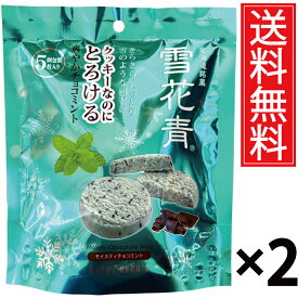 北海道銘菓 雪花青（せっかせい）モイスティチョコミント5枚入×2袋セット ／ 個包装 送料無料 ショコラクッキー チョコレートクッキー 北海道 おみやげ お土産 ギフト 贈物 贈り物 チョコミント ペパーミント チョコレート 北海道みやげ 北海道土産 誕生日 退職 お祝 お礼