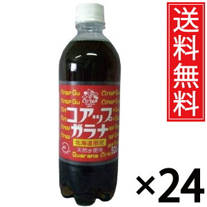 kC RAbvKi 500ml × 24{ (1P[X)  Џ ^ kC kC  P[X P[X   ܂Ƃߔ ʔ hN  ybg{g yb